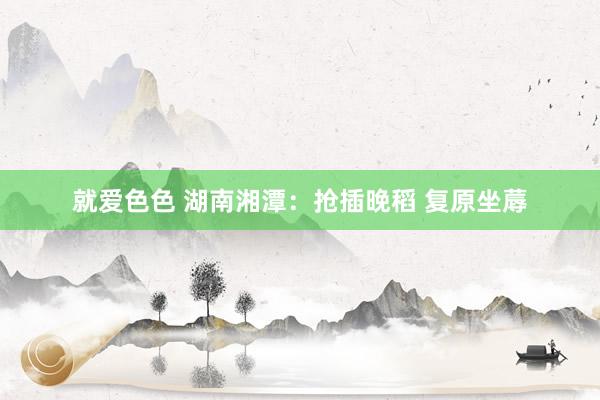 就爱色色 湖南湘潭：抢插晚稻 复原坐蓐