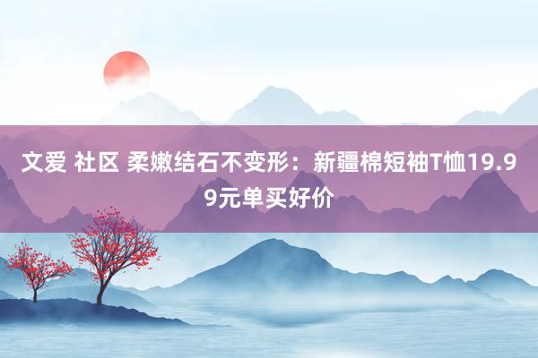 文爱 社区 柔嫩结石不变形：新疆棉短袖T恤19.99元单买好价
