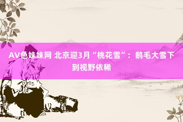 AV色妹妹网 北京迎3月“桃花雪”：鹅毛大雪下到视野依稀