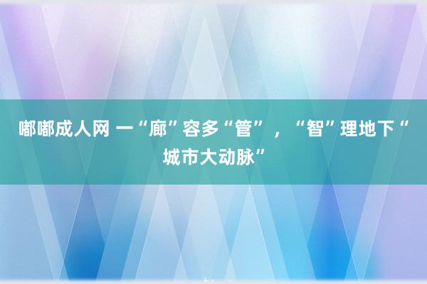 嘟嘟成人网 一“廊”容多“管” ，“智”理地下“城市大动脉”