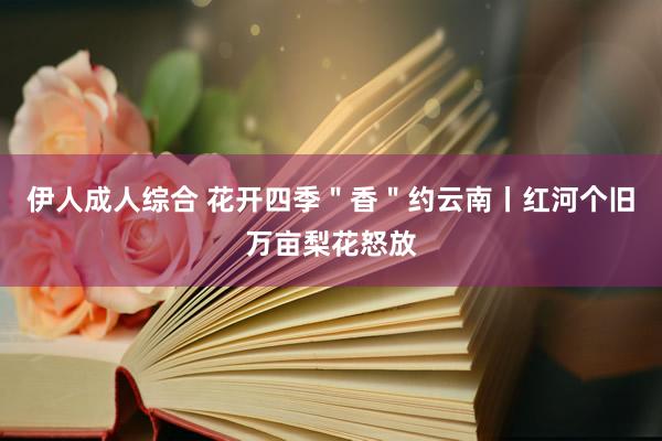 伊人成人综合 花开四季＂香＂约云南丨红河个旧万亩梨花怒放
