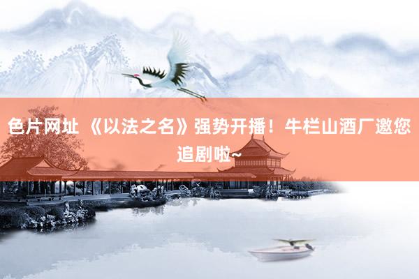 色片网址 《以法之名》强势开播！牛栏山酒厂邀您追剧啦~