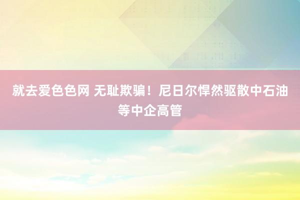 就去爱色色网 无耻欺骗！尼日尔悍然驱散中石油等中企高管