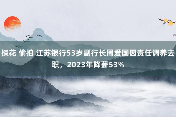 探花 偷拍 江苏银行53岁副行长周爱国因责任调养去职，2023年降薪53%