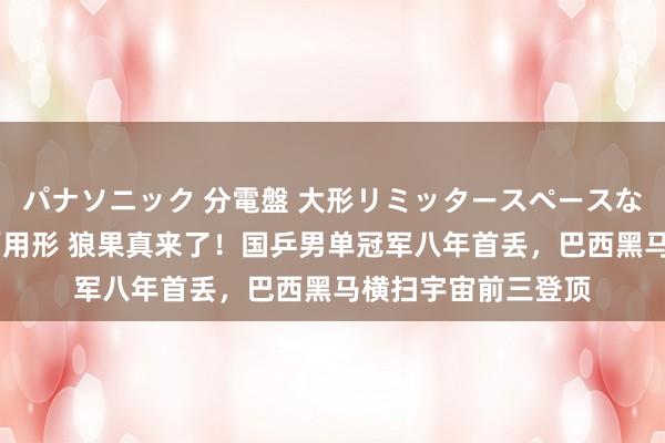 パナソニック 分電盤 大形リミッタースペースなし 露出・半埋込両用形 狼果真来了！国乒男单冠军八年首丢，巴西黑马横扫宇宙前三登顶