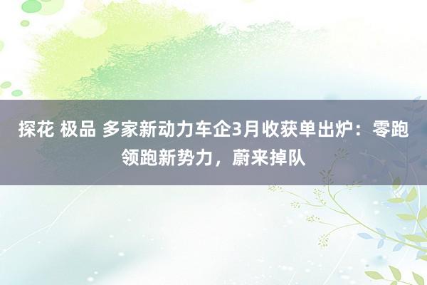 探花 极品 多家新动力车企3月收获单出炉：零跑领跑新势力，蔚来掉队