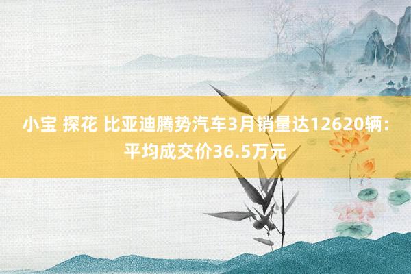 小宝 探花 比亚迪腾势汽车3月销量达12620辆：平均成交价36.5万元