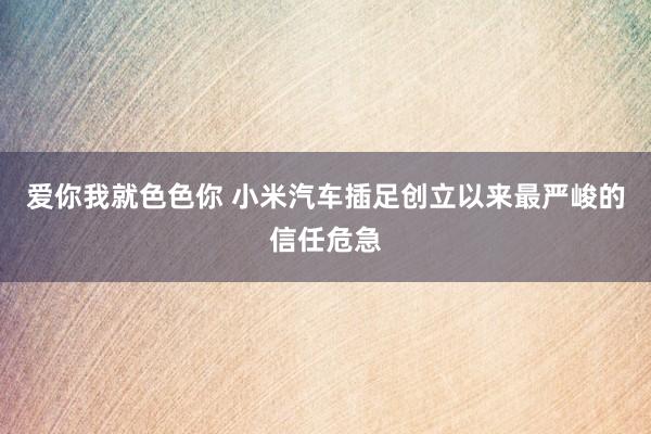 爱你我就色色你 小米汽车插足创立以来最严峻的信任危急